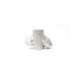 ntd600-n1e9s-spence