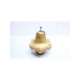 bzessszts01ad2-cash valve