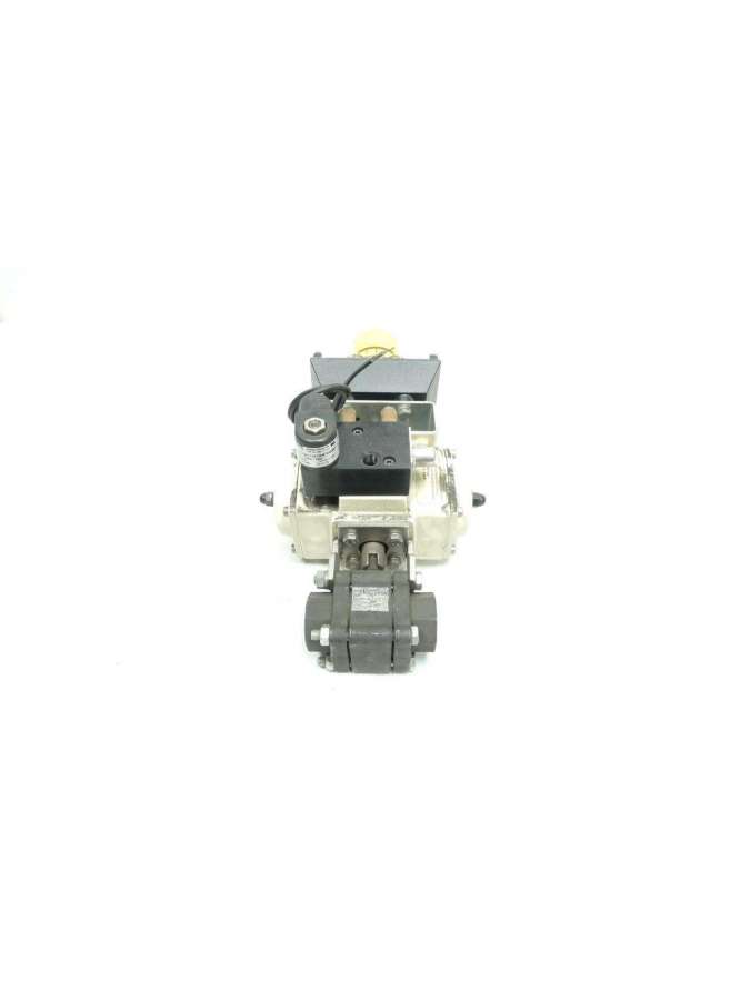 4446-mt-rhino
