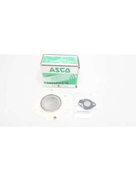262964-asco