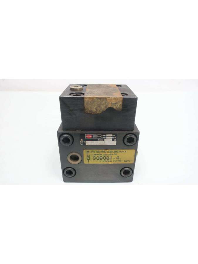 81-303-54-herion