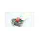 076792-1203-goulds