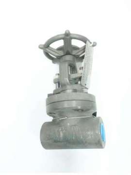 834873r29-vogt