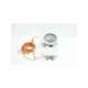 tr6000-00024155-qualitrol