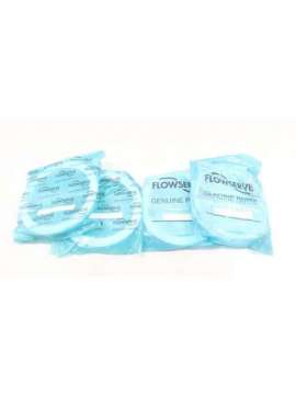 954260-88-flowserve