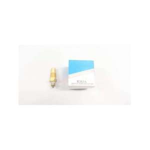 R363A ISSPRO