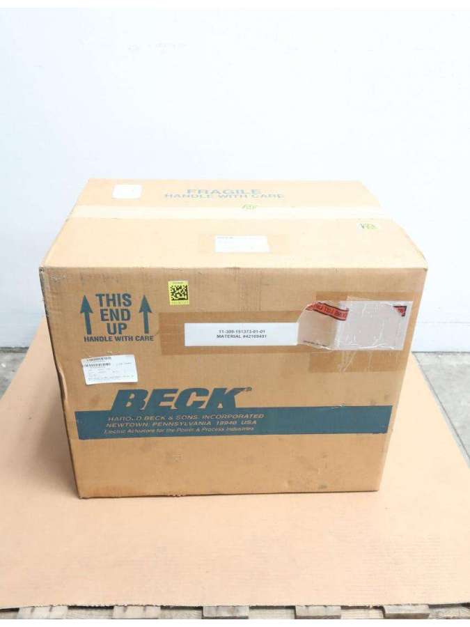 11-309-151373-01-01-beck