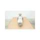 app22-40 99410989-ahlstrom