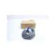 gll110010-levelite