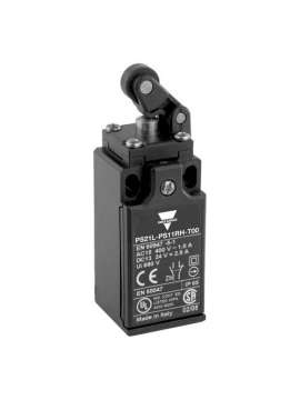 ps21l-pt11rh-t00-carlo gavazzi