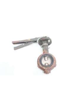 3010-ami-ref-trw