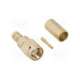 132113rp-10-amphenol rf