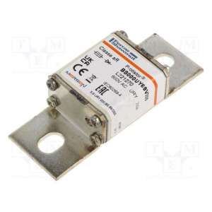 BS000UY69V200 MERSEN