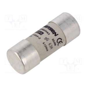 FR22GG69V63 MERSEN