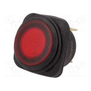 R13-203B84-01-BRRN1 SCI