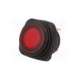 r13-203b84-01-brrn1-sci