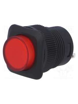 r13-508a-05-br-sci