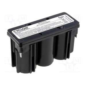 0819-0012 ENERSYS