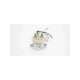 ev200a1ana-ref-cii