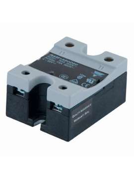 ram1a60a75-carlo gavazzi