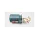 a7801164n-bb-ref-limitorque