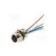 1200700229-molex
