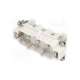 936010219-molex
