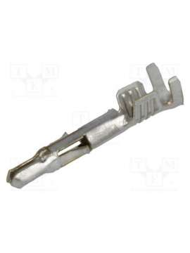 02-08-2004-molex