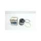 02-102510 20v12-vickers