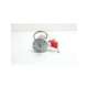 1081-110-leeds northrup