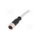 c21320000000095-harting