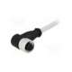 c21320000000051-harting
