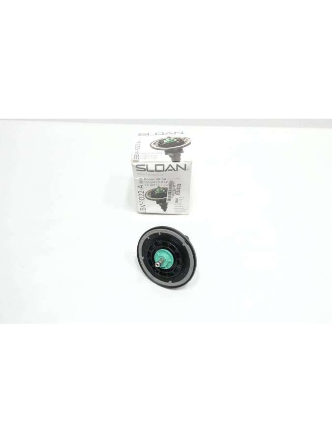 ebv-1002-a-sloan