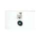 ebv-1002-a-sloan