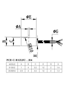 pce-c-r12lfc 5-h4-pce instruments