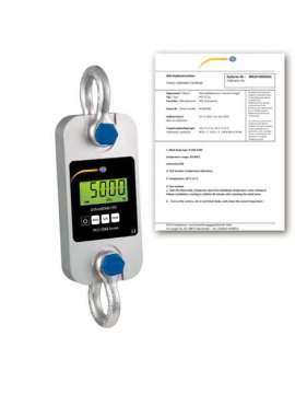 pce-ddm 5wi-ica-pce instruments