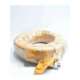 n30ts16m216mpss16mps6600-na
