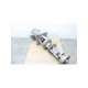 1-1/4evh0barrelm-ref-carver pump
