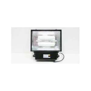 EFL-ED-100W EVERLAST