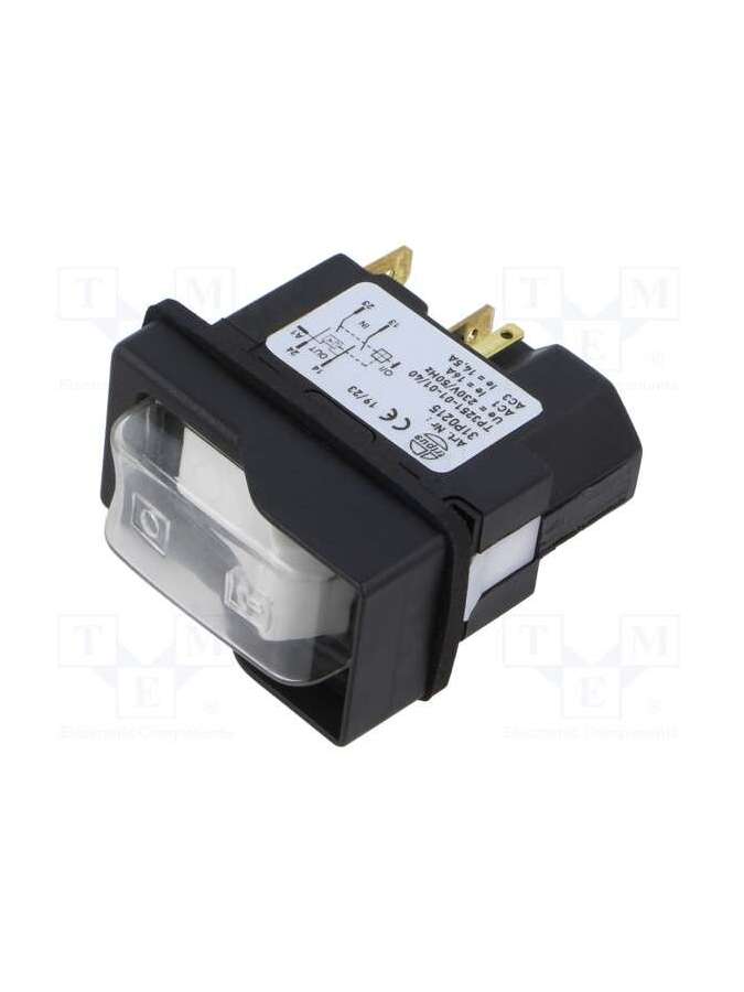 31p0215-tripus