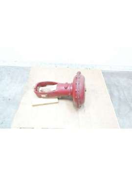 010300-101-999-masoneilan