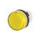 46-2t00.10g0.000-eao