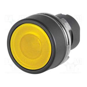 46-2231.11G0.000 EAO