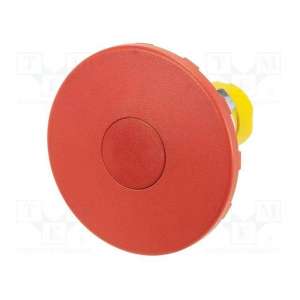 46-2531.1A20.000 EAO