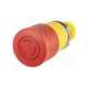 46-2c36.1h20.000-eao