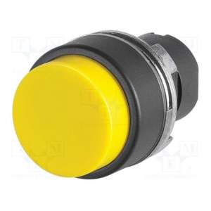 46-2131.1240.000 EAO