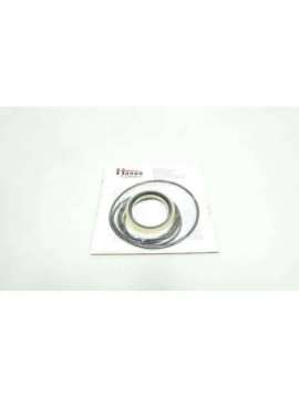j-1 706-00046-201-hanna cylinders