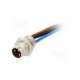 42-01032-conec