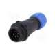 sp1311c/p6i-n-weipu