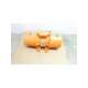 cd9-9330-ref-carrier